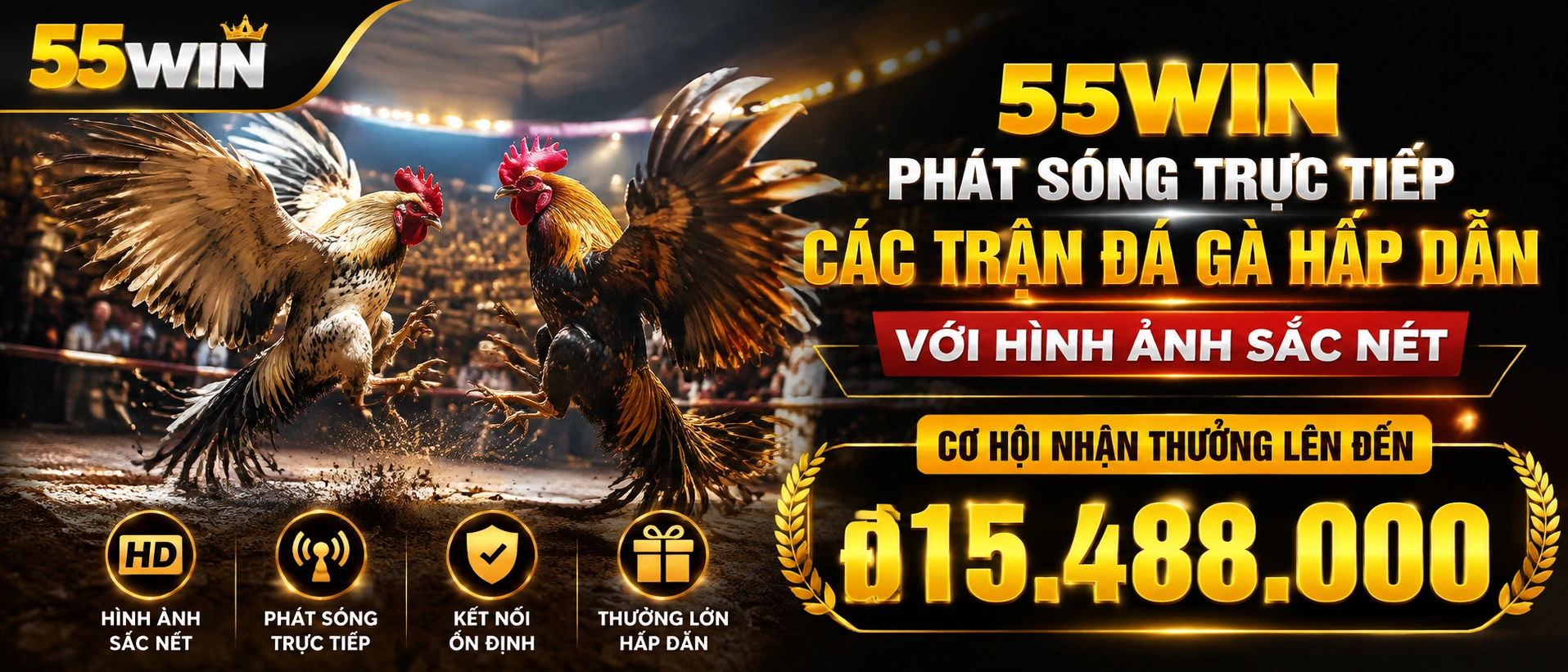Phòng xem Đá Gà trực tiếp trên mobile